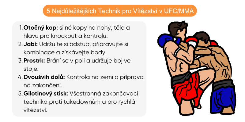 technik-pro-v&iacute;tezstvi-ufc-sazky-mma